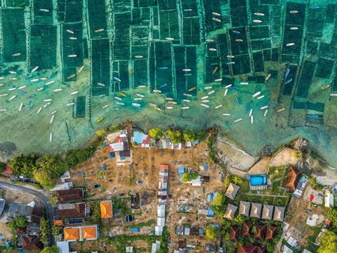 Steinmetz first scouted the seaweed farms of Bali, Indonesia, with Google Earth, “but when you are there, it’s always a surprise as you see people on the land (or on the water) and how they interact with it. It’s also more 3D, from the oblique perspective of the camera and, in this case, reflections.” He calls seaweed harvesting “a real bright spot in aquaculture because you’re growing food in a very sustainable way.”