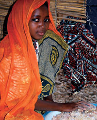 In the Wankoye enterprise, the women who work in the warehouse are the primary points of quality control, as they are in most other gum-arabic sorting facilities in Africa. Sieving and picking through the bags of gum, they remove sand, dirt, bark, twigs and other undesirable debris, as well as pieces of other, less desirable, gums that individual collectors may mix in with the gum arabic. The gum does not deteriorate if kept dry and can therefore be transported long distances. 