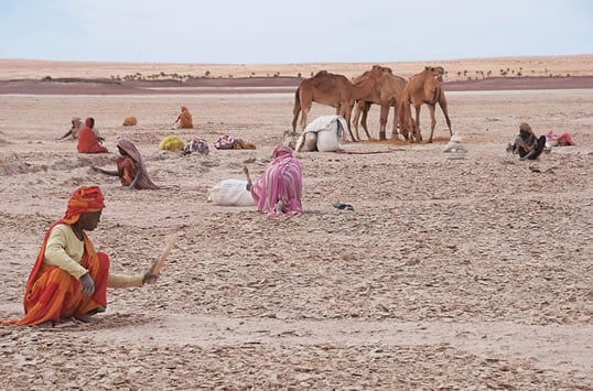 On the ancient lakebeds near Tichit, both men and women work to break up the salty surface crust. They bag it, load it onto camels and market it to caravanners who in turn sell it to herders as an animal-feed supplement. 