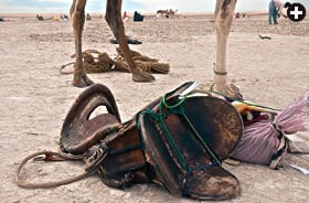 Built to endure years of use, camel saddles were often made and decorated by women, as were riding blankets and saddlebags. 