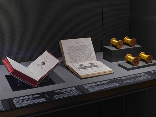 Artist renderings of the spider and loom, left and center, and spools of spider silk, right, are featured in the museum display.
